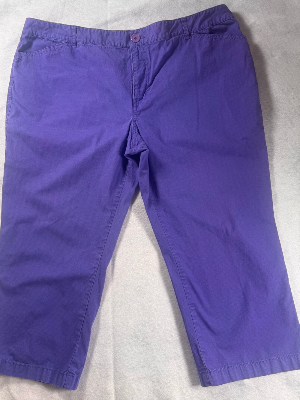 Coldwater Creek Purple Capri Pants Women’s Size 18